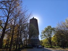 -玲珑塔公园