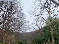 -南山风景名胜区