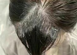 -IP SALON