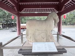 -茂陵博物馆