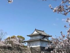 -学习谷日语培训日本留学·多语种外语教学(西单宣武分部)