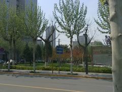 -西北大学(桃园校区)