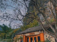 -村上春树