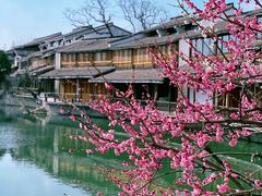 -西溪国家湿地公园