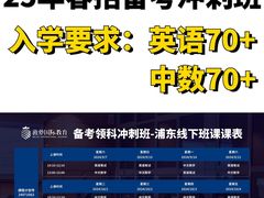 -菠萝国际教育专注Alevel·IGCSE·IB·AP·托福雅思培训辅导(静安校区)