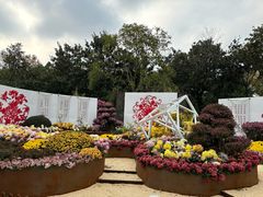 -共青国家森林公园-售票处