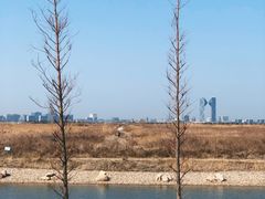 -春花秋色城市公园