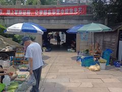 -练塘古镇