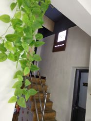 -阪川造型salon