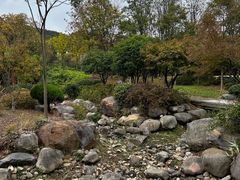 -宝界山林公园