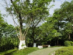 -重庆中央公园(渝北区)