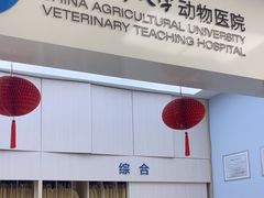 -中国农业大学动物医院