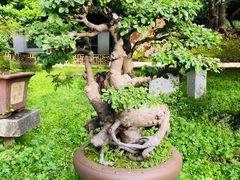 -团城山公园