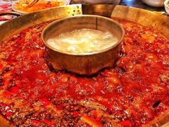 -杨家火锅(国美店)