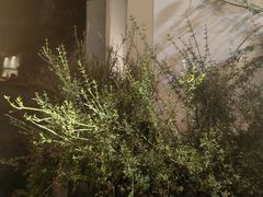 -兰桂坊·花园餐厅(西湖店)