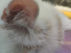 -乐宠宠物店(世纪金源店)