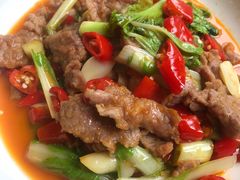 -曾牛肉