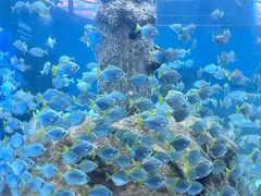 -厦门海底世界