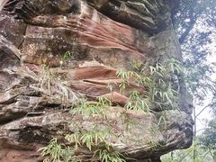 -碧峰峡风景区