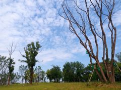 -盘龙城国家考古遗址公园