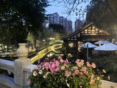 -正南齊北重庆老火锅(光华村直营店)