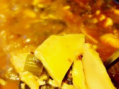 -易门野生菌府·菌海森林(月牙潭公园店)