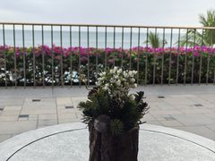 -日落吧·海景咖啡厅·餐酒吧·鸡尾酒·下午茶·乐队表演·浪漫夕阳·三亚文华东方酒店