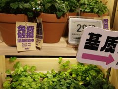 -Olé精品超市(北京合生汇店)