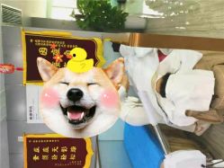 -痘博士昆明·国际祛痘领跑品牌