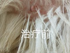 -芭比堂宠物医院·全科爱猫医院·仁德分院