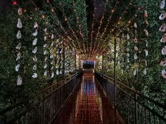 -崖口红树林海鲜餐厅