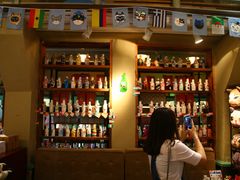 -猫咪博物馆(顶澳仔猫街店)