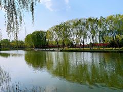 -大兴滨河森林公园