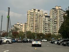 -大宁郁金香公园-停车场