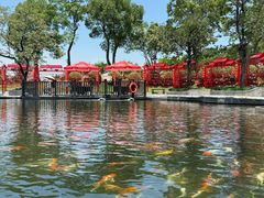 -南京银杏湖乐园