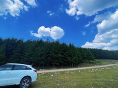 -蔚县茶山村