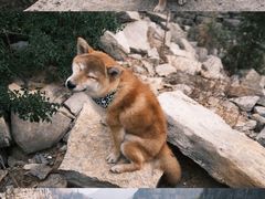 -龙洞风景区-藏龙涧