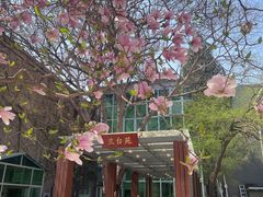 -北京航空航天大学-图书馆