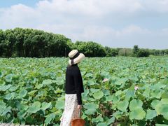 -梁鸿国家湿地公园