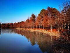 -上海海湾国家森林公园