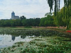 -长春市南湖公园