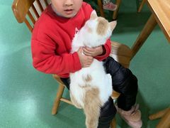 -藦茜花园宠物主题亲子互动体验馆(国顺东路店)