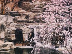 -国家植物园