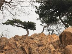 -天津盘山风景名胜区