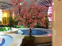 -水晶之星洗浴温泉汗蒸