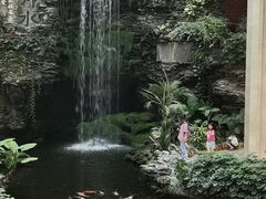 -白天鹅宾馆-宏图府餐厅