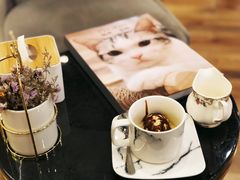 -袖虎·猫馆(体育西路店)