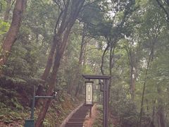 -灵顺寺