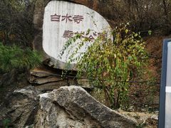 -白水寺森林公园