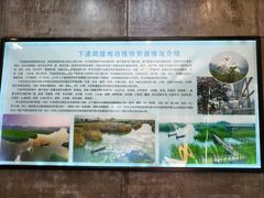 -下渚湖国家湿地公园科普馆